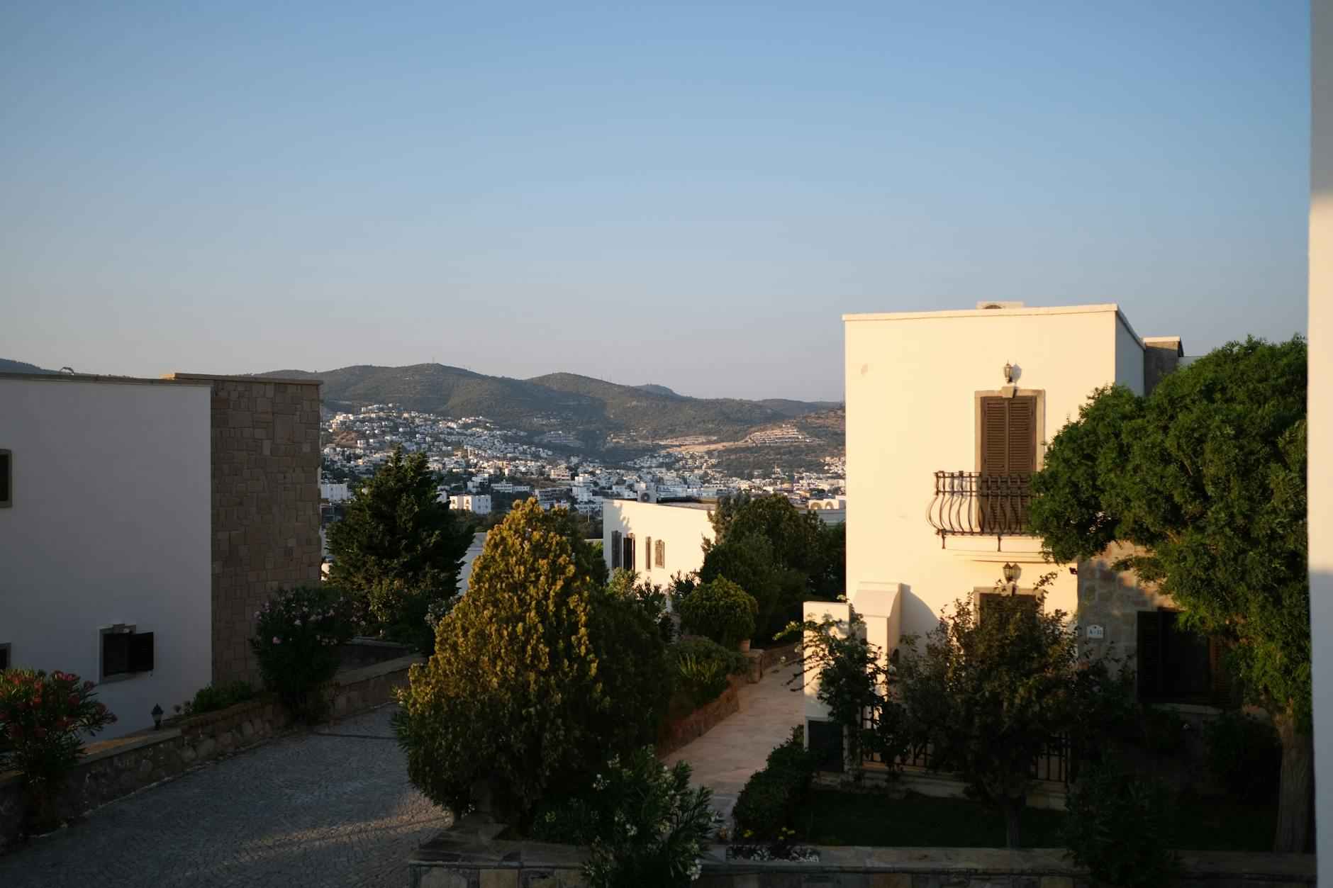 Current Standings Overview