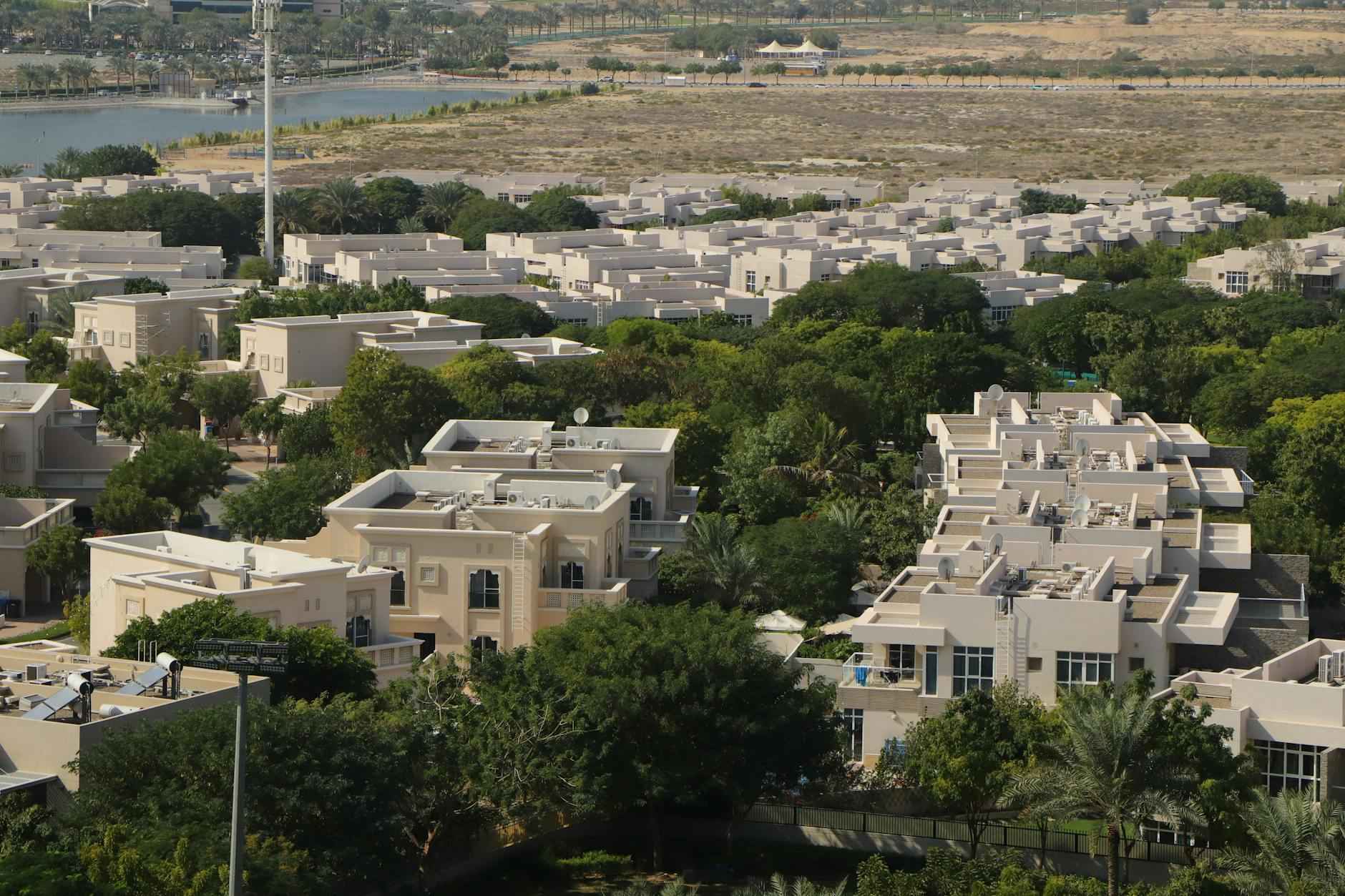 Key Players to Watch