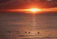 Aston Villa vs Manchester United F.C. Timeline: What Happened on the Field? Aston Villa vs Manchester United F.C. Timeline: What Happened on the Field?