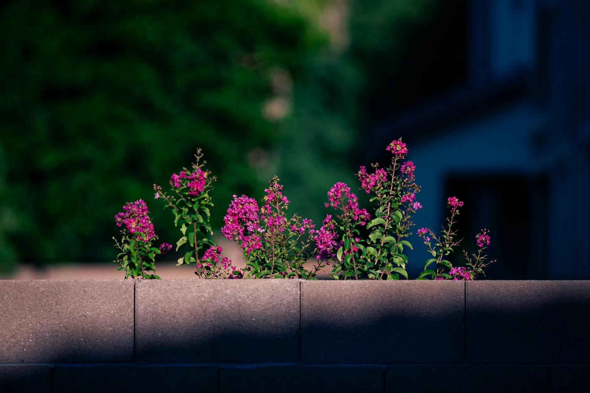 Liverpool F.C.'s Recent Form