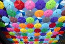 Coventry City F.C. vs Man United Timeline: Full Timeline of the Match Coventry City F.C. vs Man United Timeline: Full Timeline of the Match