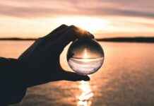 Crystal Palace F.C. vs Manchester United F.C. Timeline: Full Timeline of Events Crystal Palace F.C. vs Manchester United F.C. Timeline: Full Timeline of Events