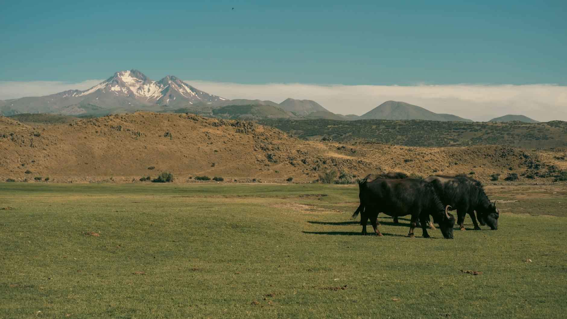 Derby County Standings: How Are Derby Performing Lately? 1 Current League Position