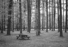 Fulham F.C. vs Arsenal F.C. Timeline: What Happened During the Match? Fulham F.C. vs Arsenal F.C. Timeline: What Happened During the Match?