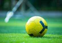 FCSB Vs Manchester United F.C. Lineups: Who Will Dominate The Field? Liverpool F.C. Vs Brighton & Hove Albion F.C. Stats Overview