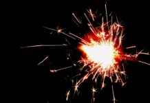 Tamworth F.C. Vs Tottenham Stats: Full Match Insights Tamworth F.C. Vs Tottenham Stats: Full Match Insights