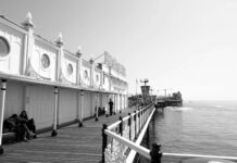 Brighton & Hove Albion F.C. Vs Manchester United F.C. Lineups: Who Will Dominate?