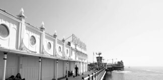 Brighton & Hove Albion F.C. Vs Manchester United F.C. Lineups: Who Will Dominate?