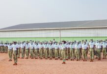 Nba Lineup Secrets Revealed: How To Build An Unstoppable Team