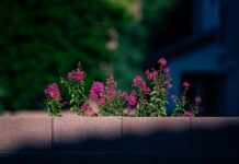 Chelsea F.C. Vs Newcastle United F.C. Lineups: Who Will Dominate?