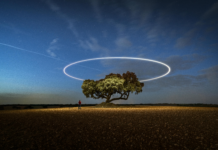 Deportivo Toluca F.C. Vs Chivas De Guadalajara Lineups: Who Will Dominate?