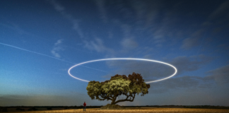 Deportivo Toluca F.C. Vs Chivas De Guadalajara Lineups: Who Will Dominate?