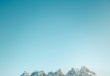 Fulham F.C. Vs Tottenham Lineups: Who Will Dominate The Pitch?