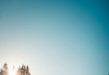 Chelsea F.C. Vs Nottingham Forest Lineups Revealed: Who Will Dominate?