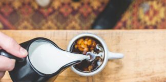 Tennis: Former Davis Cup Rep Boost For Bay Sparks Excitement