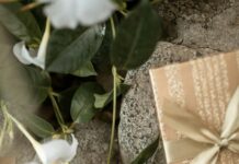 Cilic Expecting First Child: Exciting News Fans Can’t Miss