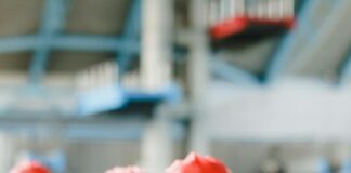 Phillies Lineup Secrets Revealed: Who’s Powering The Team Today?